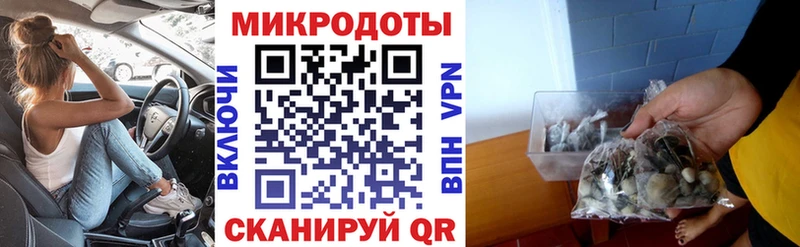 Псилоцибиновые грибы Psilocybe  Купить где  Зеленоградск 